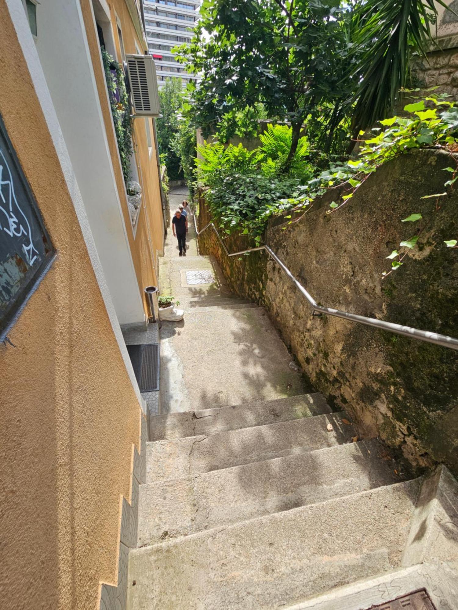No8 Apartman *